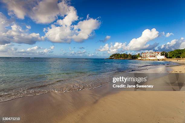 Dominican Repulic Rios 45 Rio Blanca Stock Photos, High-Res Pictures, and Images - Getty Images