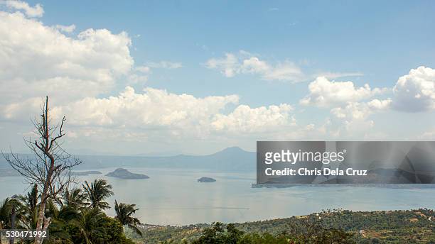 taal volcano with dry tree on foreground - tagaytay stock pictures, royalty-free photos & images