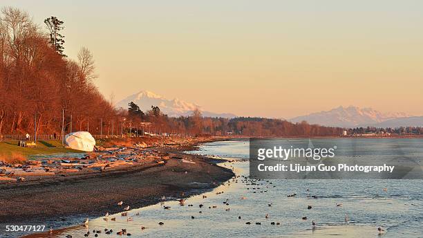 city of white rock and mt. baker - white rock bc stock pictures, royalty-free photos & images