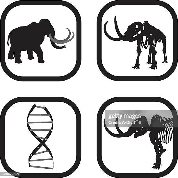 ilustraciones, imágenes clip art, dibujos animados e iconos de stock de mammothdna - woolly mammoth