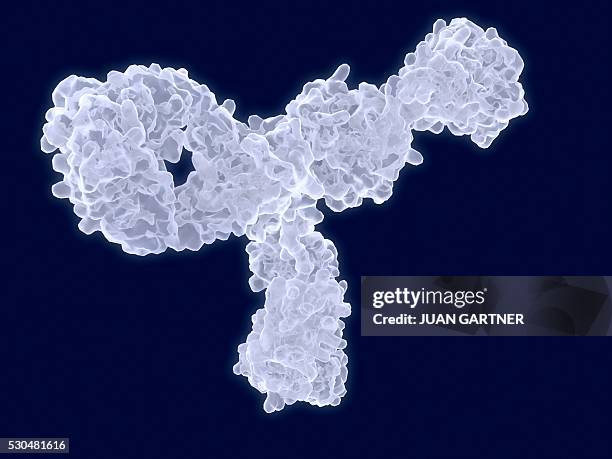 artwork of an antibody structure. - antikörper stock-fotos und bilder