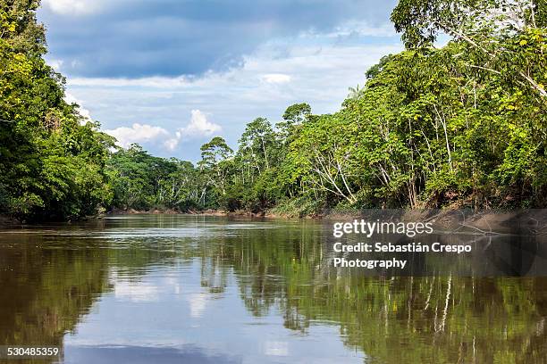 tiiputini river in yasuní national park - yasuni national park foto e immagini stock