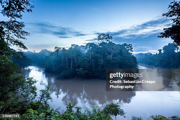 tiputini river shoe horse at dawn - yasuni national park imagens e fotografias de stock