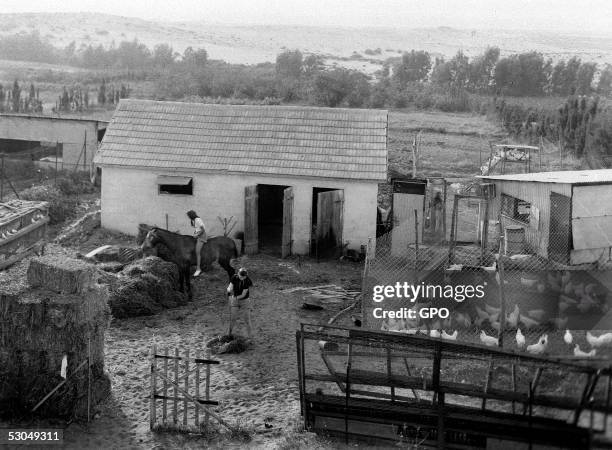 Jewish pioneers farmers at work in their farmyard February 28, 1939 at Kfar Vitkin, during the British Mandate of Palestine, in what would later...