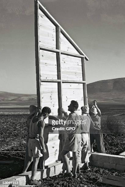Jewish settlers erect the first hut of this cooperative farming community October 31, 1946 at Kibbutz Dovrat, during the British Mandate of...