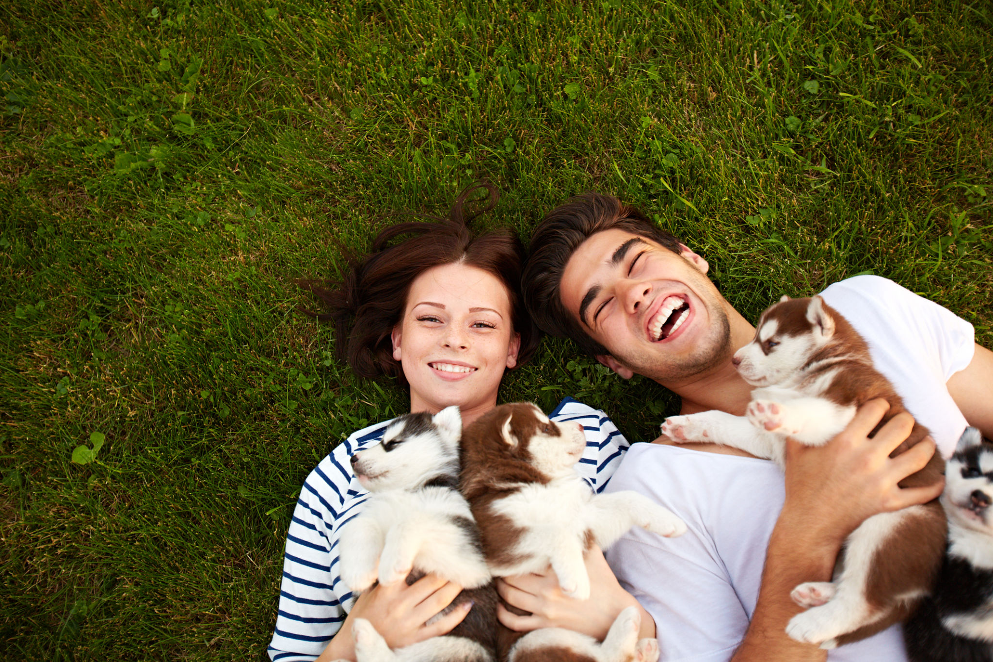 dog breeders