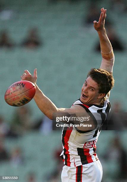 Steven Baker for the Saints in action during the round twelve AFL match between the Hawthorn Hawks and the St.Kilda Saints at the M.C.G. On June 11,...