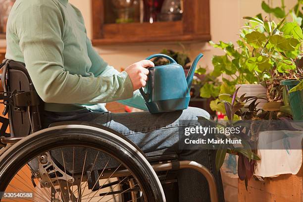 woman with multiple sclerosis in a wheelchair watering houseplants - m i a stock pictures, royalty-free photos & images