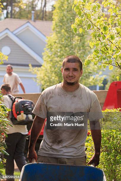 landscaper carrying mulch to a garden in wheelbarrow - wheelbarrow stock pictures, royalty-free photos & images