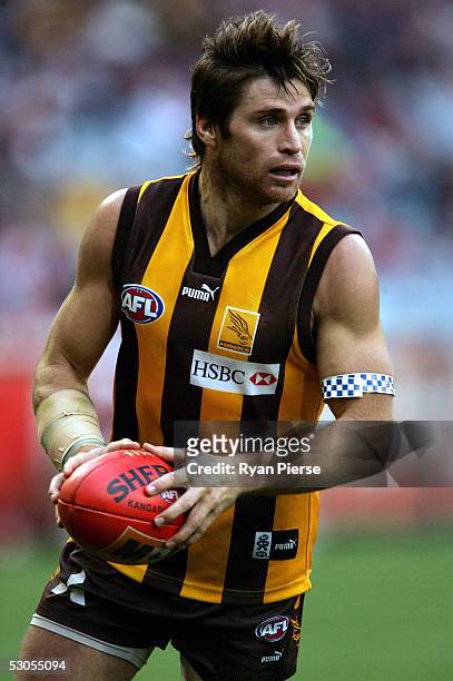Shane Crawford for the Hawks in action during the round twelve AFL match between the Hawthorn Hawks and the St.Kilda Saints at the M.C.G. On June 11,...