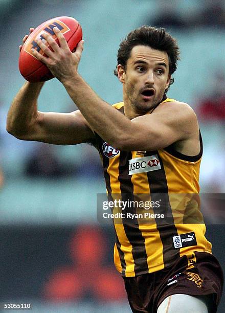 Ben Dixon for the Hawks in action during the round twelve AFL match between the Hawthorn Hawks and the St.Kilda Saints at the M.C.G. On June 11, 2005...