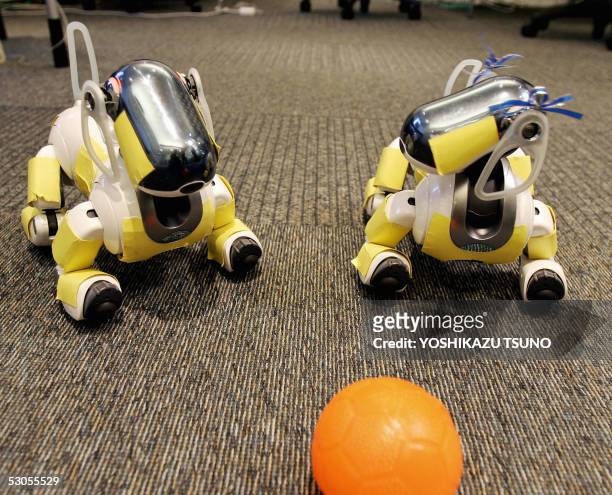Sony's entertainment robots AIBO play and communicate with each other with a specialy designed language with the technology of Fluid Construction...