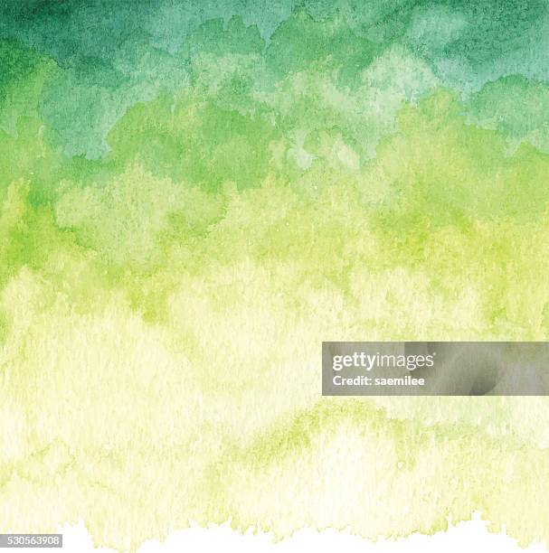 aquarell grünem hintergrund - aquarell pflanze stock-grafiken, -clipart, -cartoons und -symbole
