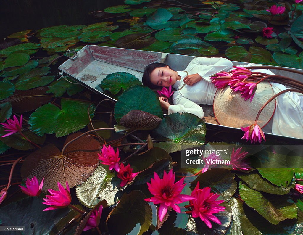 Water lily dream