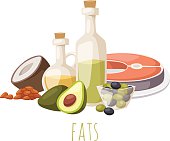 Good fats food vector illustration