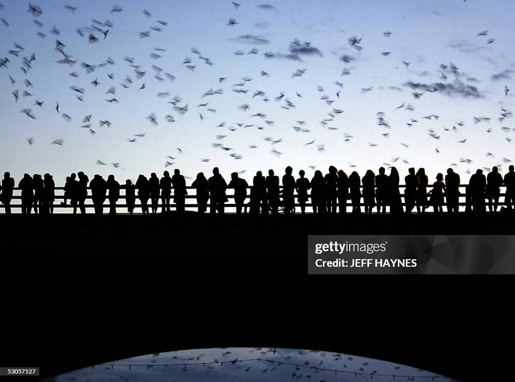 Tourists and local residents gather on t