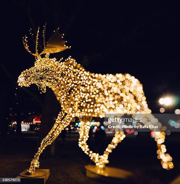 illuminated christmas moose - moose swedish stock pictures, royalty-free photos & images