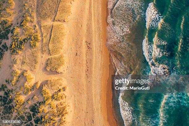 beach detail - sand dune stock pictures, royalty-free photos & images