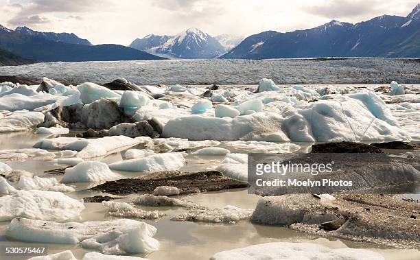 knik river icebergs - knik glacier stock pictures, royalty-free photos & images