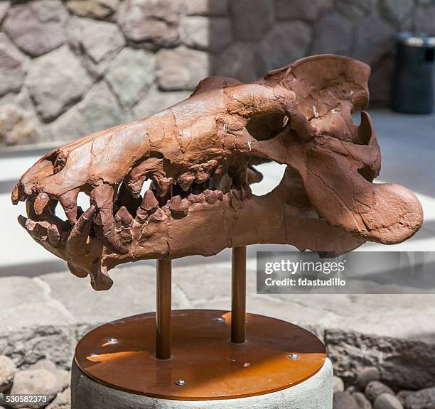 john day fossil beds national monument - oregon - john day fossil beds national park stock pictures, royalty-free photos & images