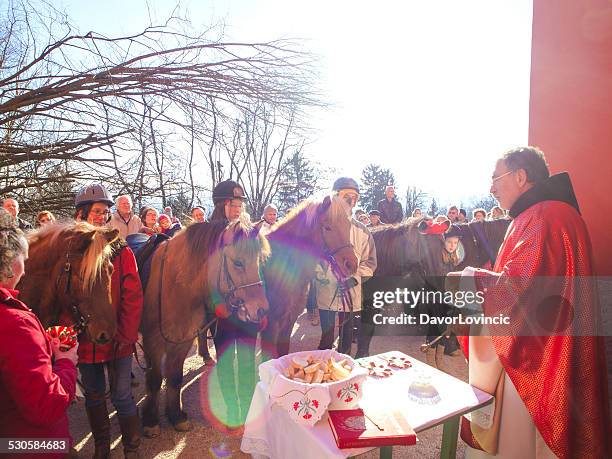 cavalli benedizione a natale - blessing of the animals foto e immagini stock