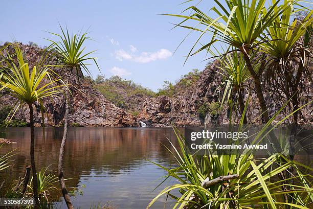 edith falls, northern territories, australia - edith falls stock pictures, royalty-free photos & images