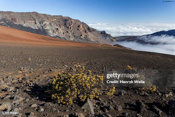 haleakala crater - vulcan roman god stock pictures, royalty-free photos & images