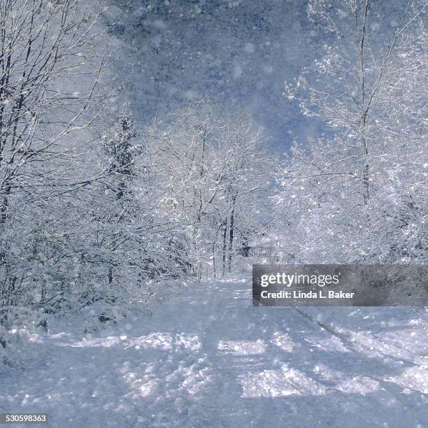 120 Deep Rut Stock Photos, High-Res Pictures, and Images - Getty Images