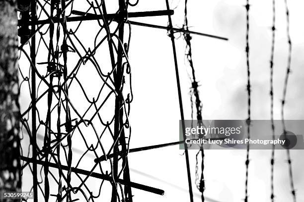 black and white fence with barbed wire - lucy shires - fotografias e filmes do acervo