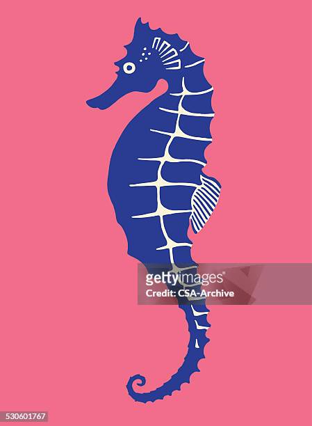 sea horse - cave painting vector stock illustrations