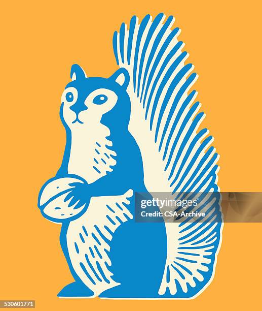ilustrações de stock, clip art, desenhos animados e ícones de esquilo segurando noz - squirrel