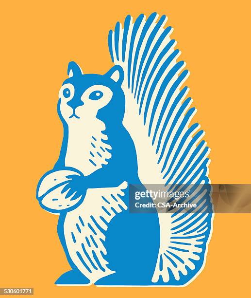 squirrel holding nut - squirrel stock illustrations