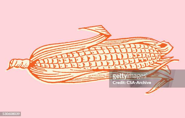 ilustraciones, imágenes clip art, dibujos animados e iconos de stock de media shucked espiga de maíz - pop corn