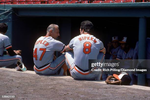 Cal Ripken Corner 442 R Cal Ripken Jr Stock Photos, High-Res Pictures, and Images - Getty ...