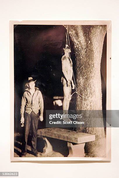 Photograph from the 1934 Marianna, Florida lynching of Claude Neal hangs on the wall at an exhibit about lynching at the Chicago Historical Society...