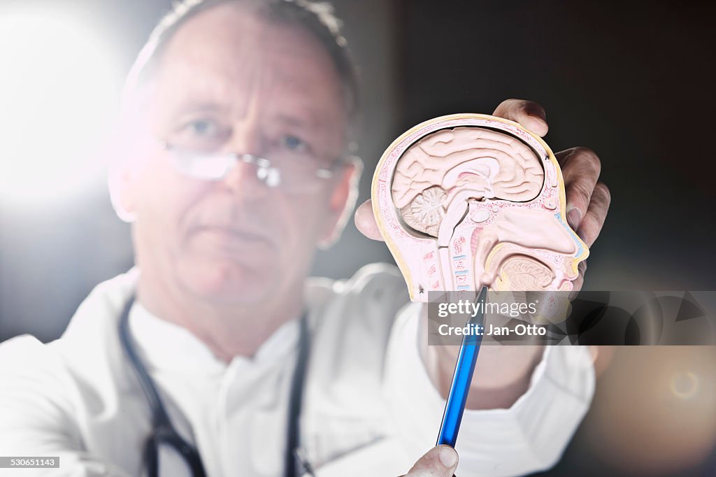 Doctor pointing at larynx