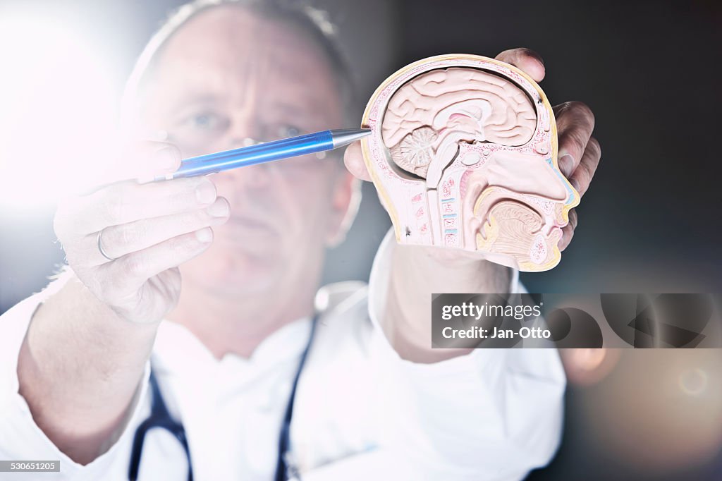 Doctore pointing at skull