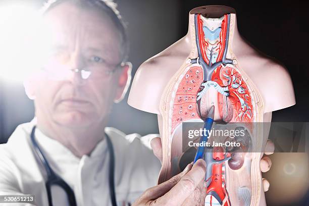 ältere medizin zeigt an oesophagus - reflux stock-fotos und bilder