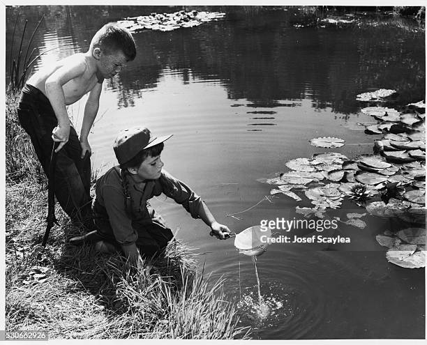 Young boy and girl hunt for tadpoles along a waterway at the University of Washington Arboretum.