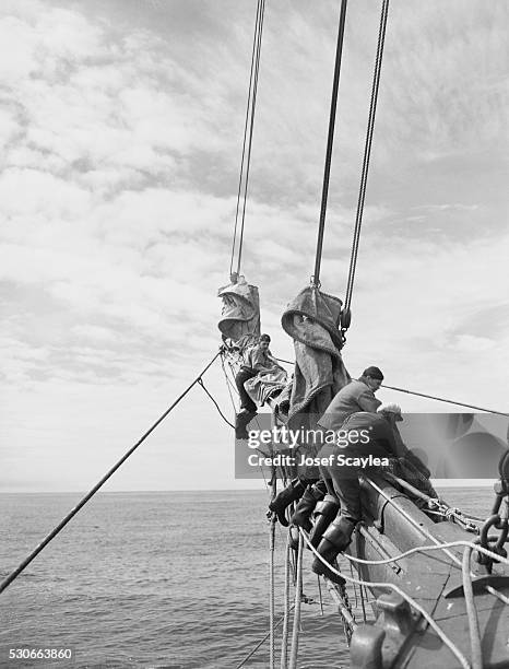 Cod Fish Ship Cod War Photos and Premium High Res Pictures - Getty Images
