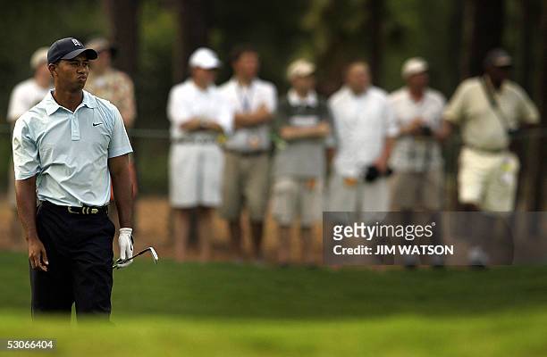 Golfer Tiger Woods reacts to his drive from the 7th fairway on the second day of practice for the 2005 US Open Championship at the Pinehurst Country...