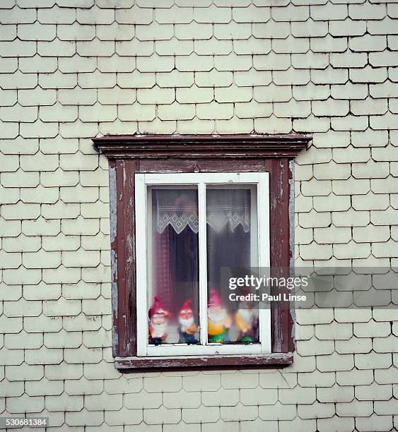 garden gnomes in window - gnome collection stock pictures, royalty-free photos & images