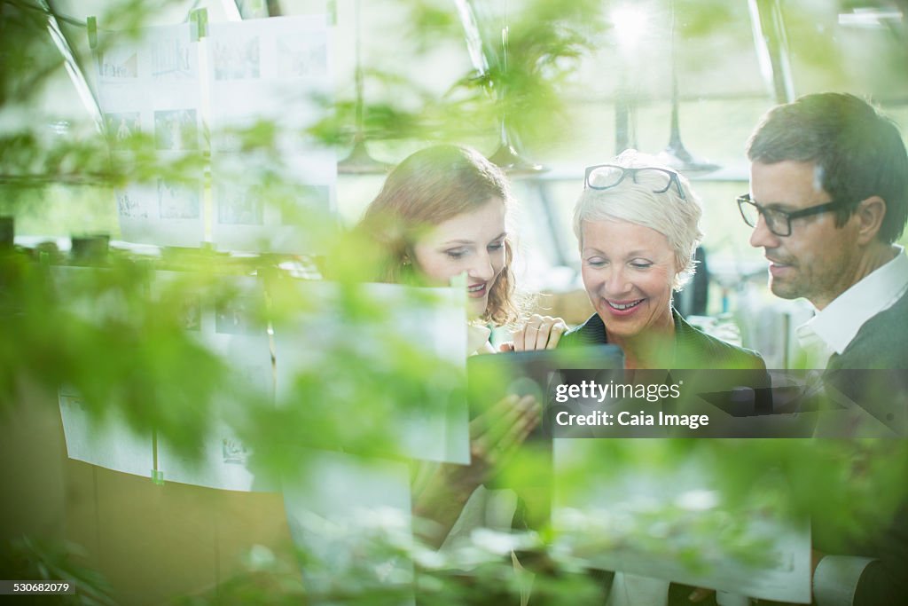 Business people working behind foliage in office