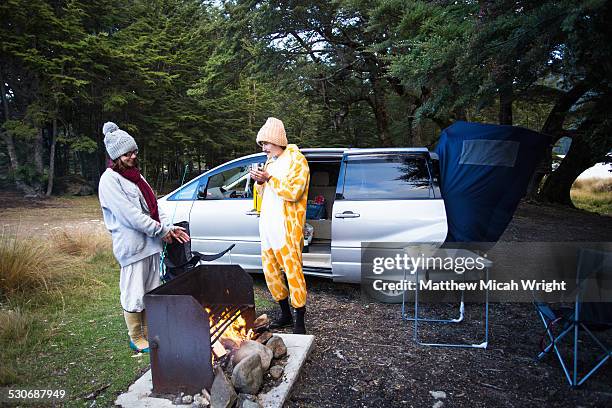 campervan cooking at mavora lake - tierkostüm stock-fotos und bilder
