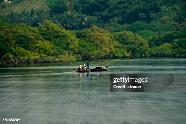 manaus - amazonas stock pictures, royalty-free photos & images