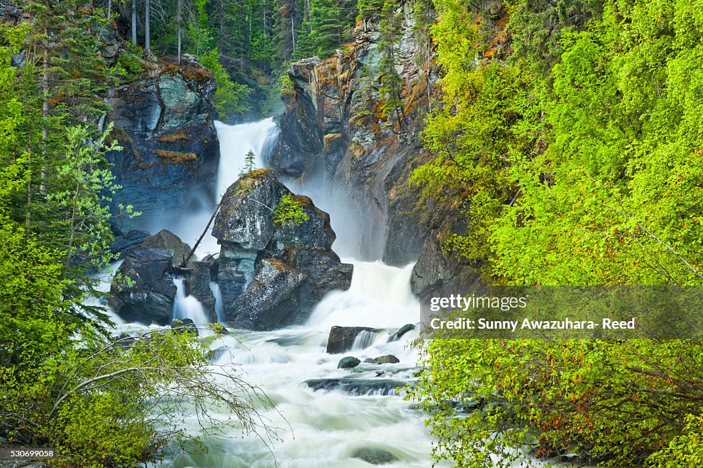 Liberty Falls rushing down among fresh green foliage at Liberty Falls State Campground near Chitina, Southcentral Alaska, Summer.