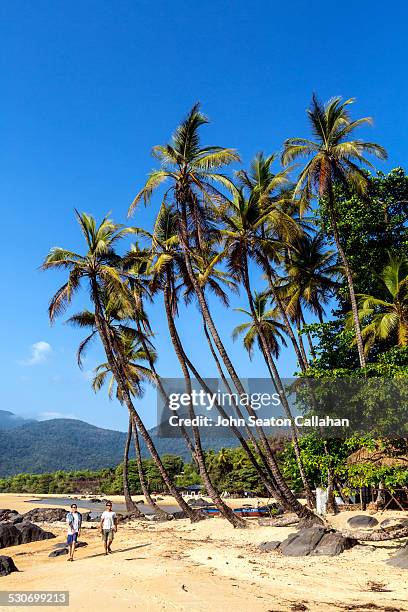 bureh beach - sierra leone beach stock pictures, royalty-free photos & images