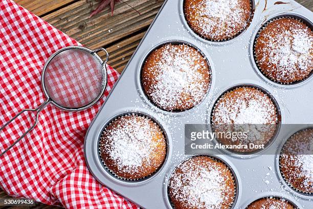 fresh baked muffins cooling in pan, munich, bavaria, germany - alexandra dost stock-fotos und bilder