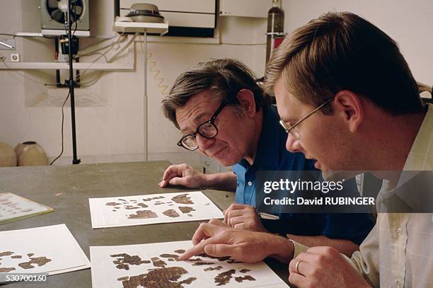 Academics Examine Fragments of Dead Sea Scrolls