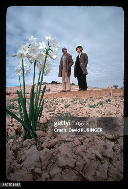 People stand beside the flowers on Professor Even-Ari's experimental farm.